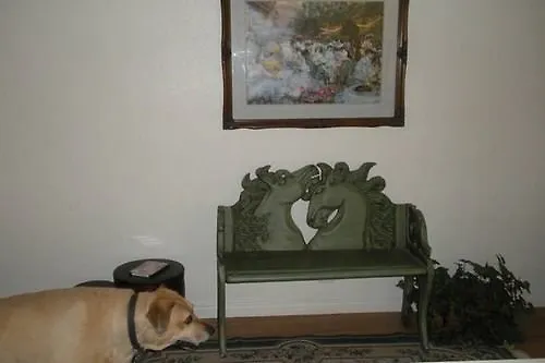 公寓 Vegas Vacation Villa Pet Friendly 拉斯维加斯